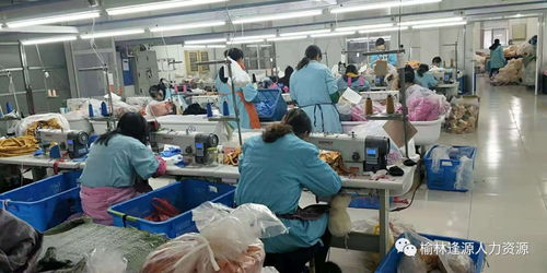 技術與人力資源優化新路徑 毛絨玩具廠商奔赴綏德開啟技術培訓